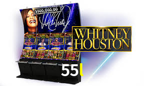 Programa VIP 55l